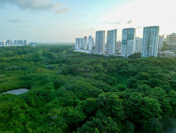 Routes cachées de la gentrification